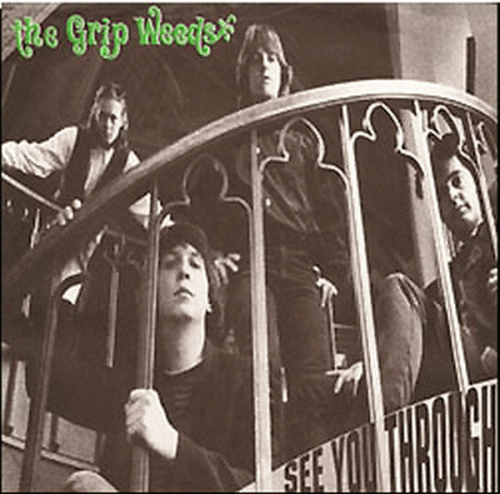 The Grip Weeds : See You Through